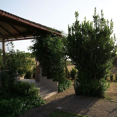 Accogliente Villa Con Piscina Caltagirone Extérieur photo