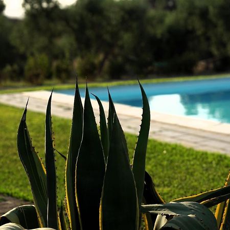Accogliente Villa Con Piscina Caltagirone Extérieur photo