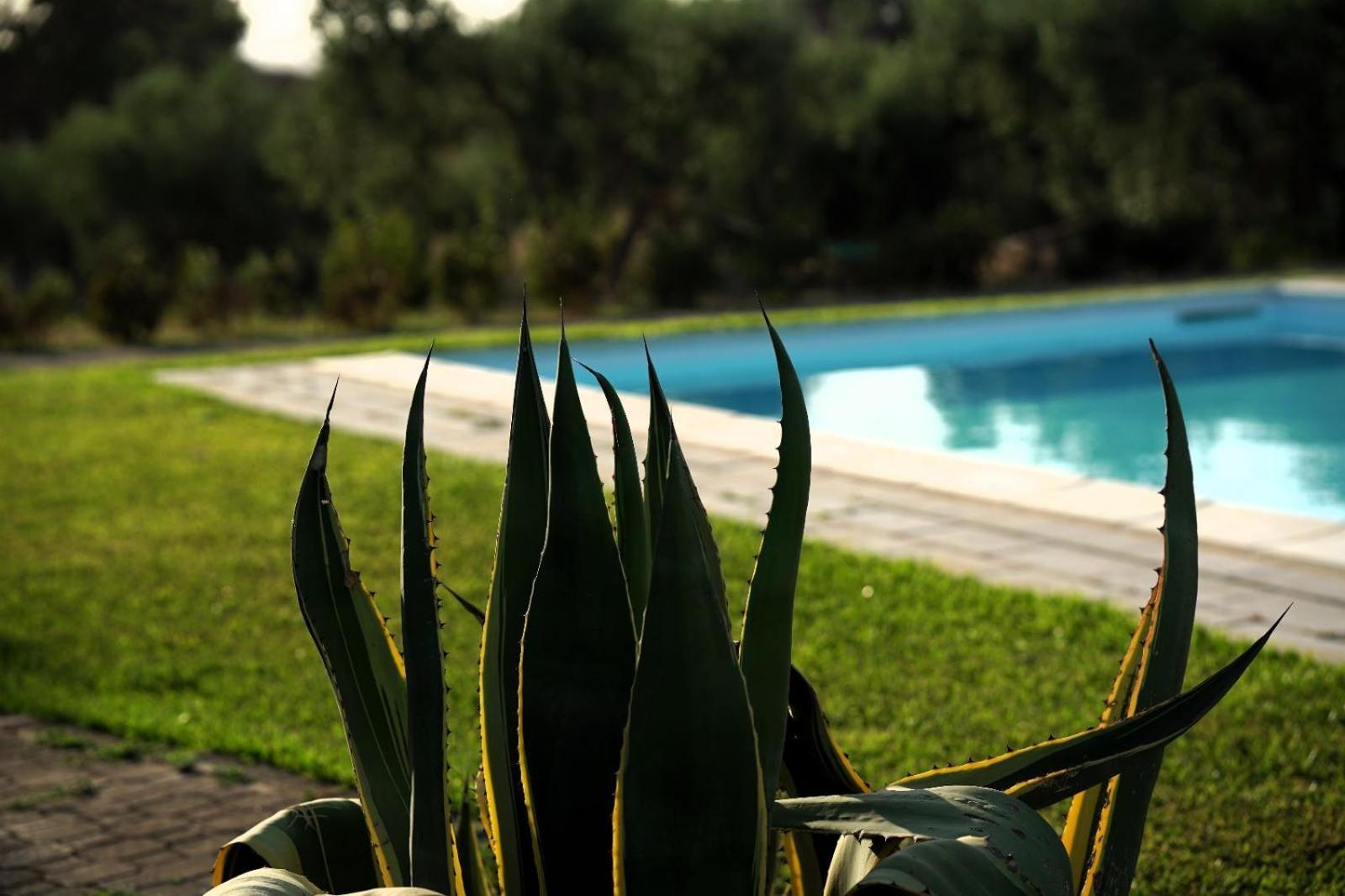 Accogliente Villa Con Piscina Caltagirone Extérieur photo