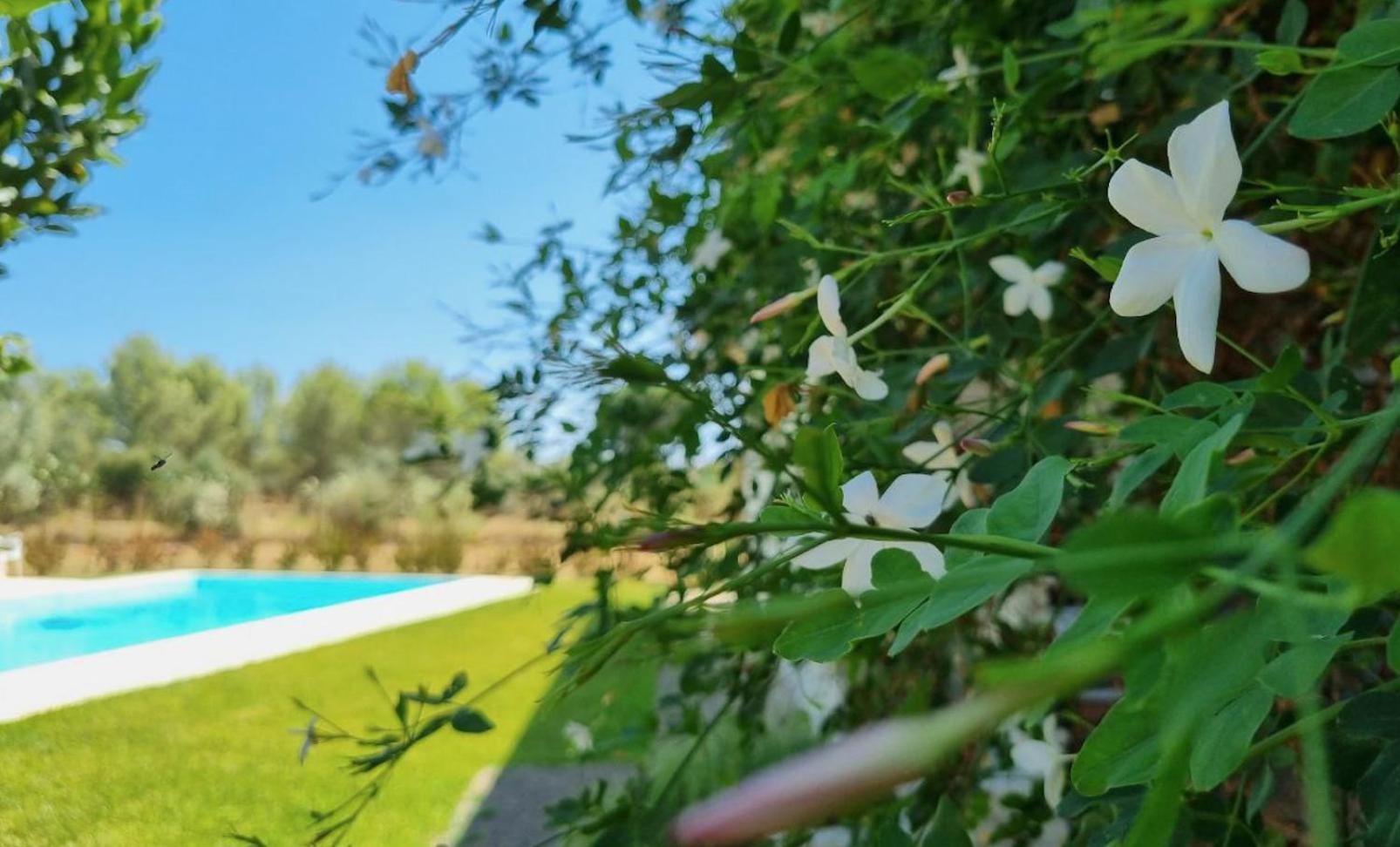 Accogliente Villa Con Piscina Caltagirone Extérieur photo