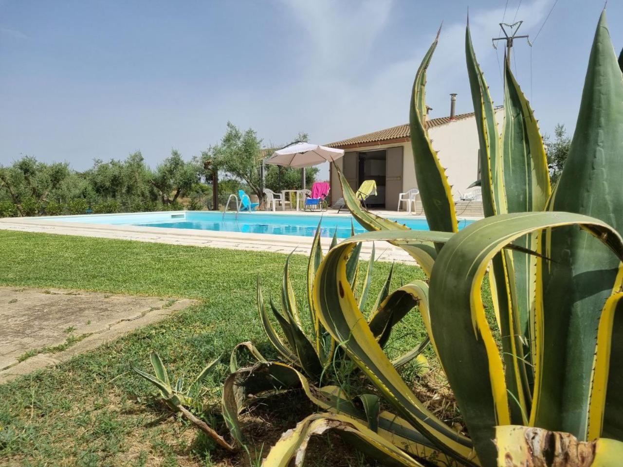 Accogliente Villa Con Piscina Caltagirone Extérieur photo