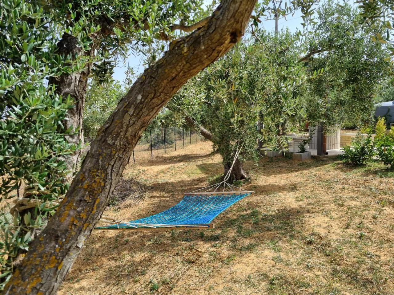 Accogliente Villa Con Piscina Caltagirone Extérieur photo